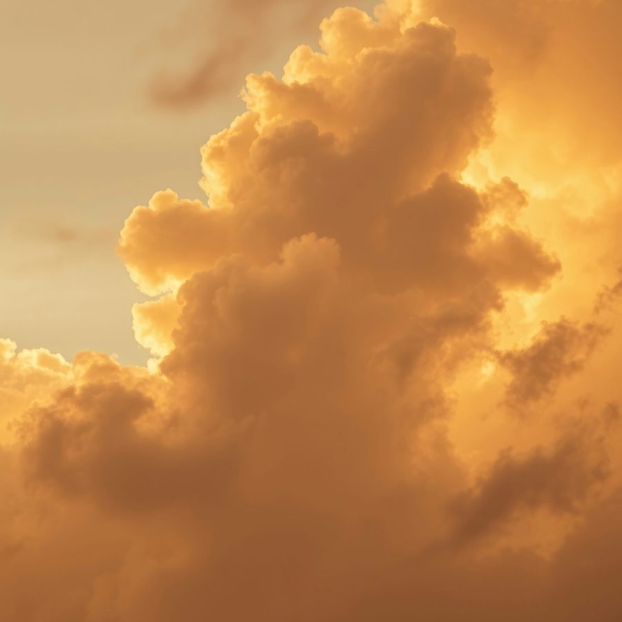 morgan-marinoni-yuSgrn9j42A-unsplash